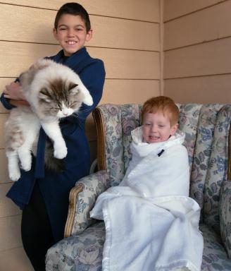 temple dolls ragdolls